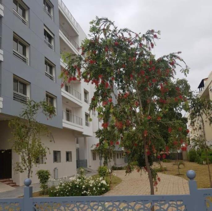 Panamaribo Neuf Appartement *